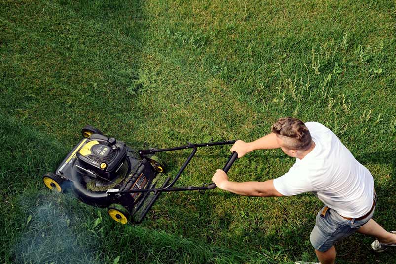 Any facial mask recommendations for mowing grass, allergies are acting up  during and after a cut? : r/lawncare