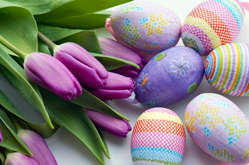 Hypoallergenic Flowers for Easter