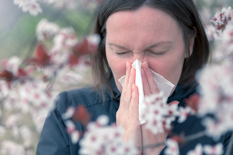 Spring Allergies Guide Symptoms, Causes, and Tips