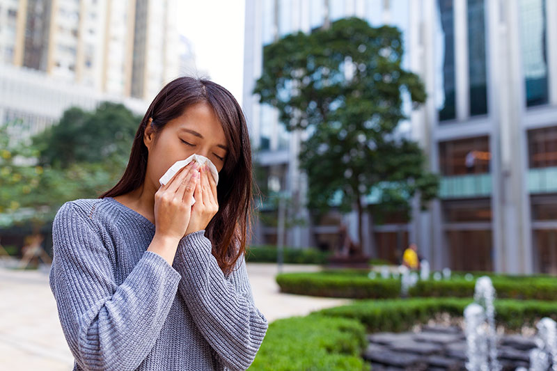 Why Does Pollen Cause Allergies?  New York Allergy and Sinus Centers